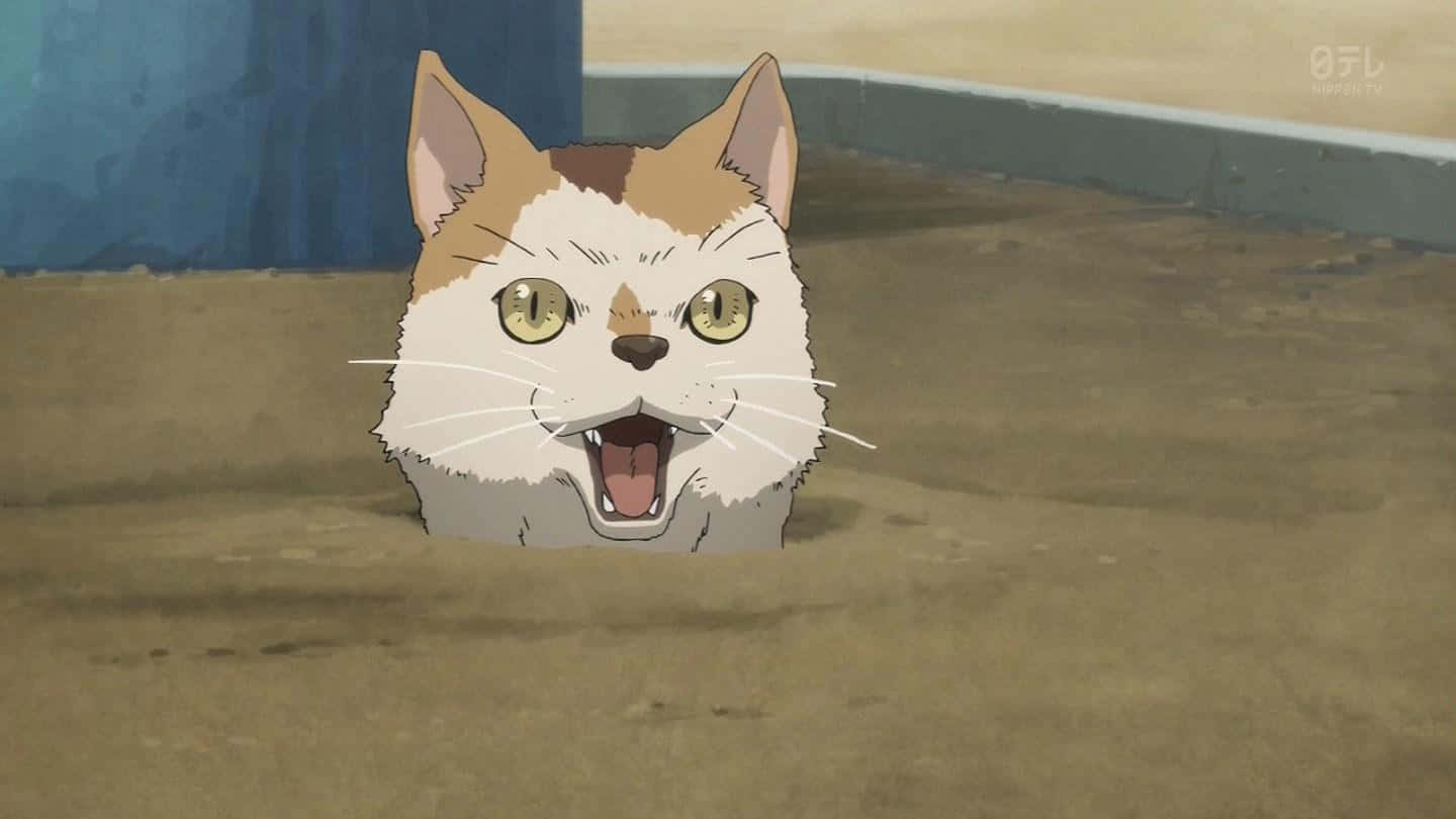 Attenzione!il Dispettoso Gatto Anime È Pronto Per Un'avventura.