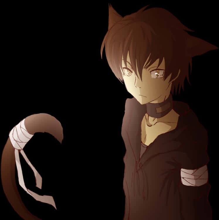 Anime Characterwith Cat Earsand Tail PNG