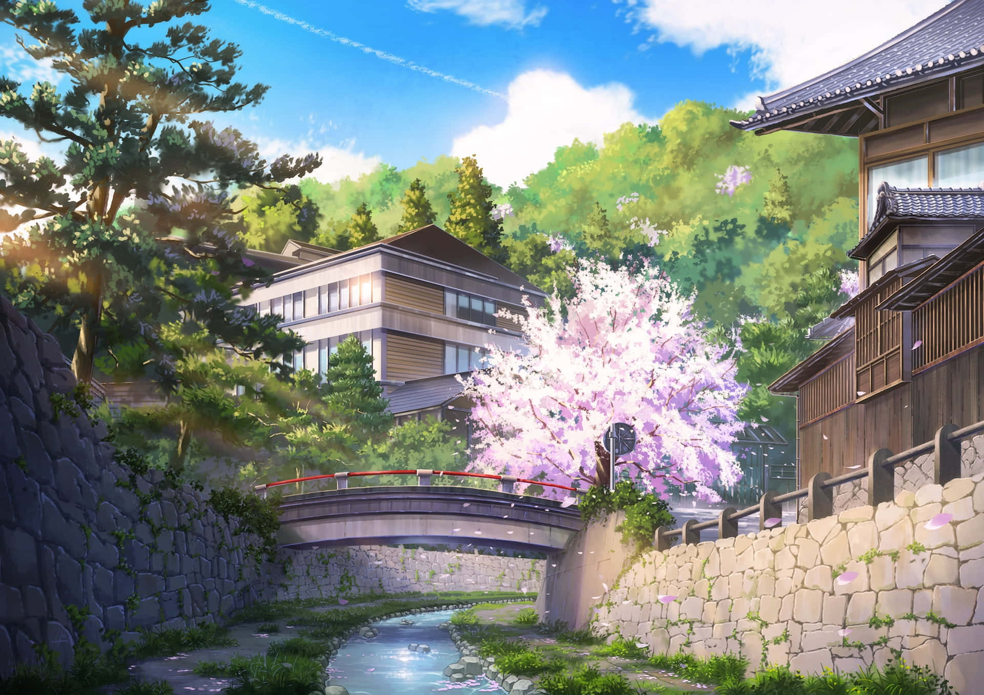 Anime Cherry Blossom Bridge Background