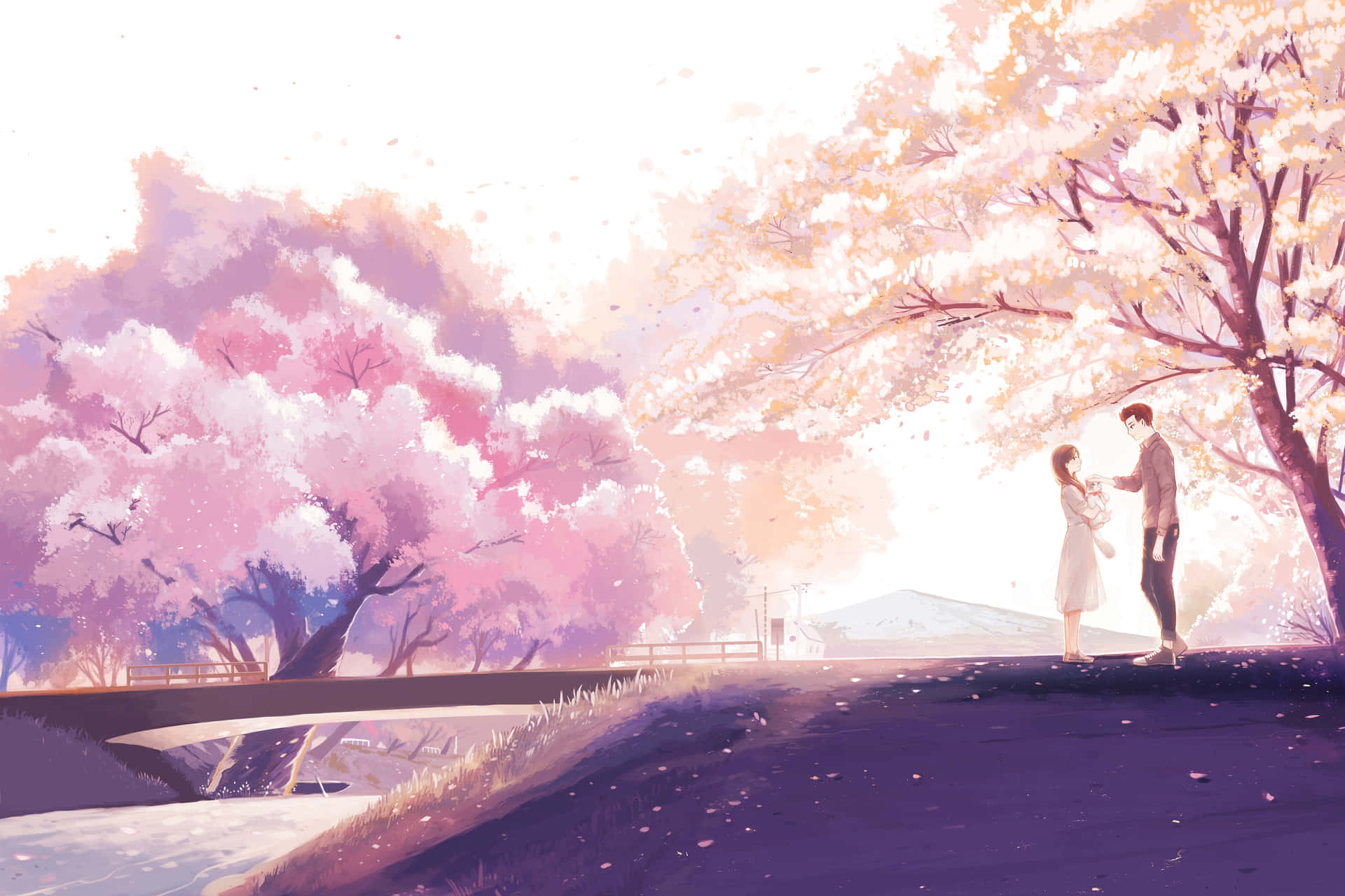 Anime Cherry Blossom Couple Background