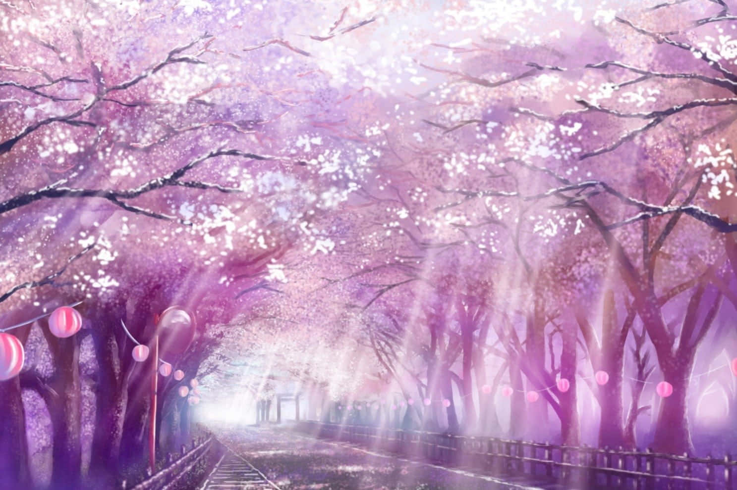 Anime Cherry Blossom Rays Sunshine Background