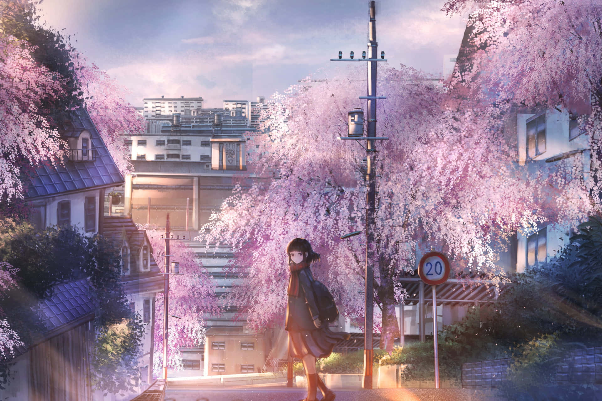 Download Anime Cherry Blossom Street Girl Background 