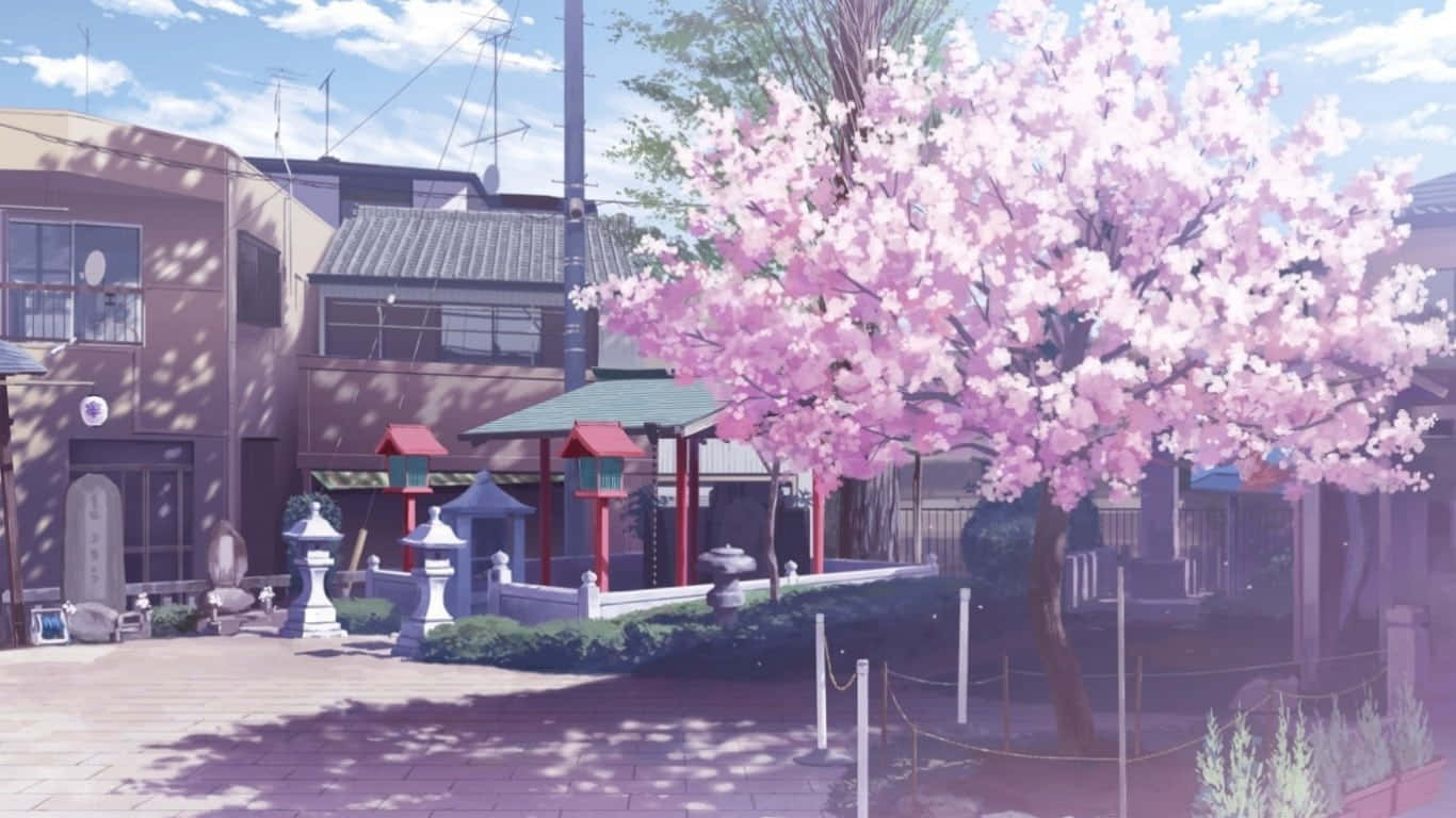 Anime Cherry Blossom Fence Background