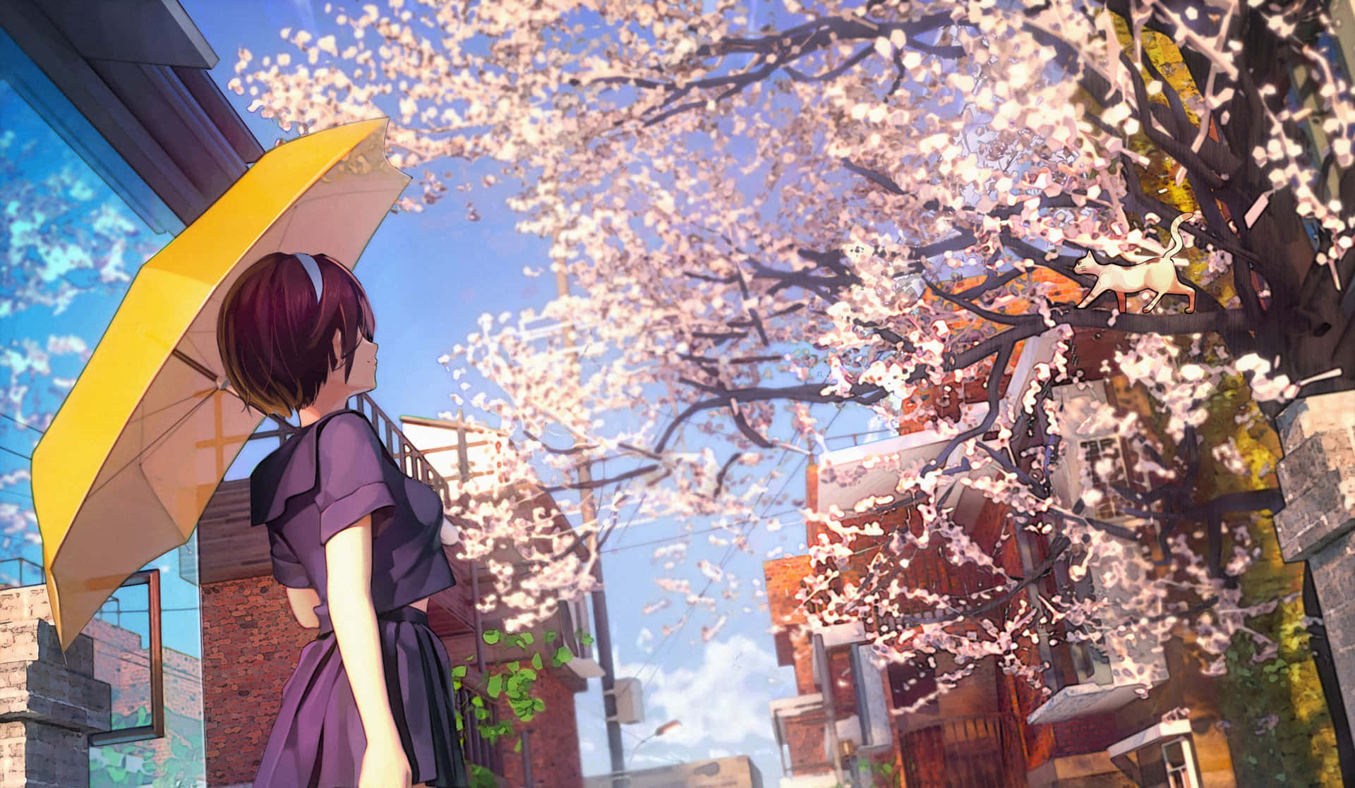 Anime Cherry Blossom Umbrella Girl Background