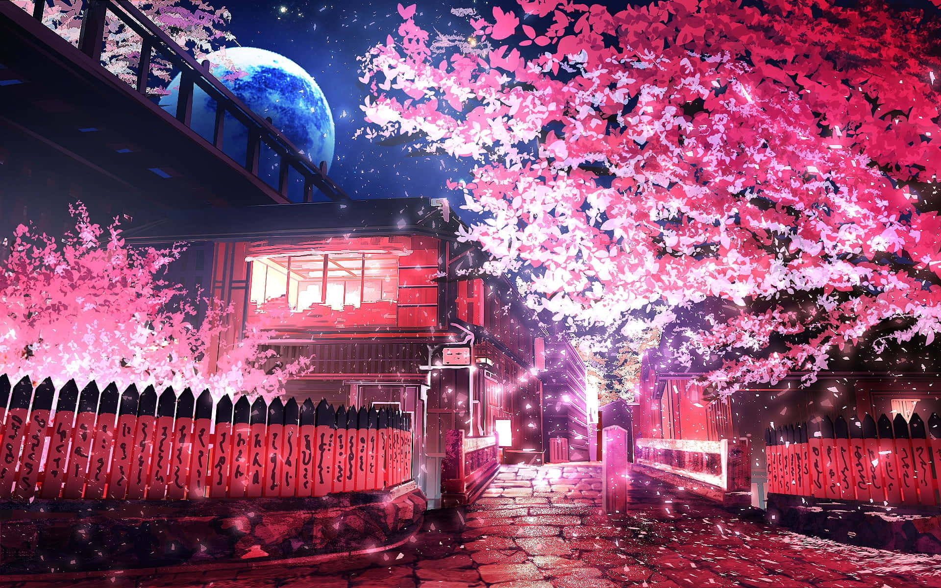 Download Anime Cherry Blossom Night Sky Background 