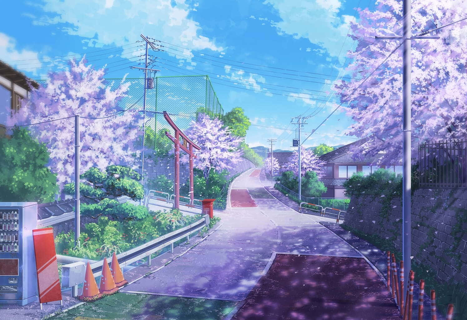 Anime Cherry Blossom Crossroad Background