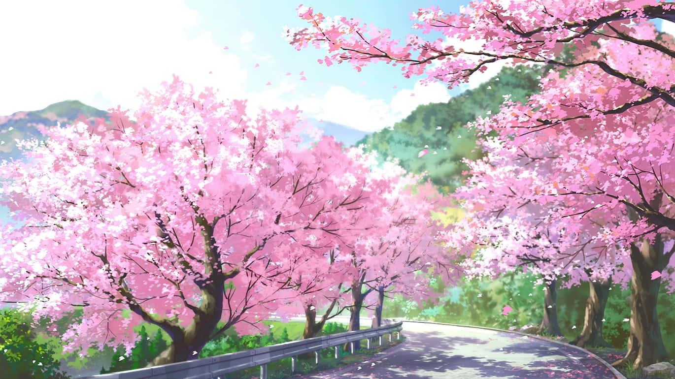 Anime Cherry Blossom Green Mountains Background