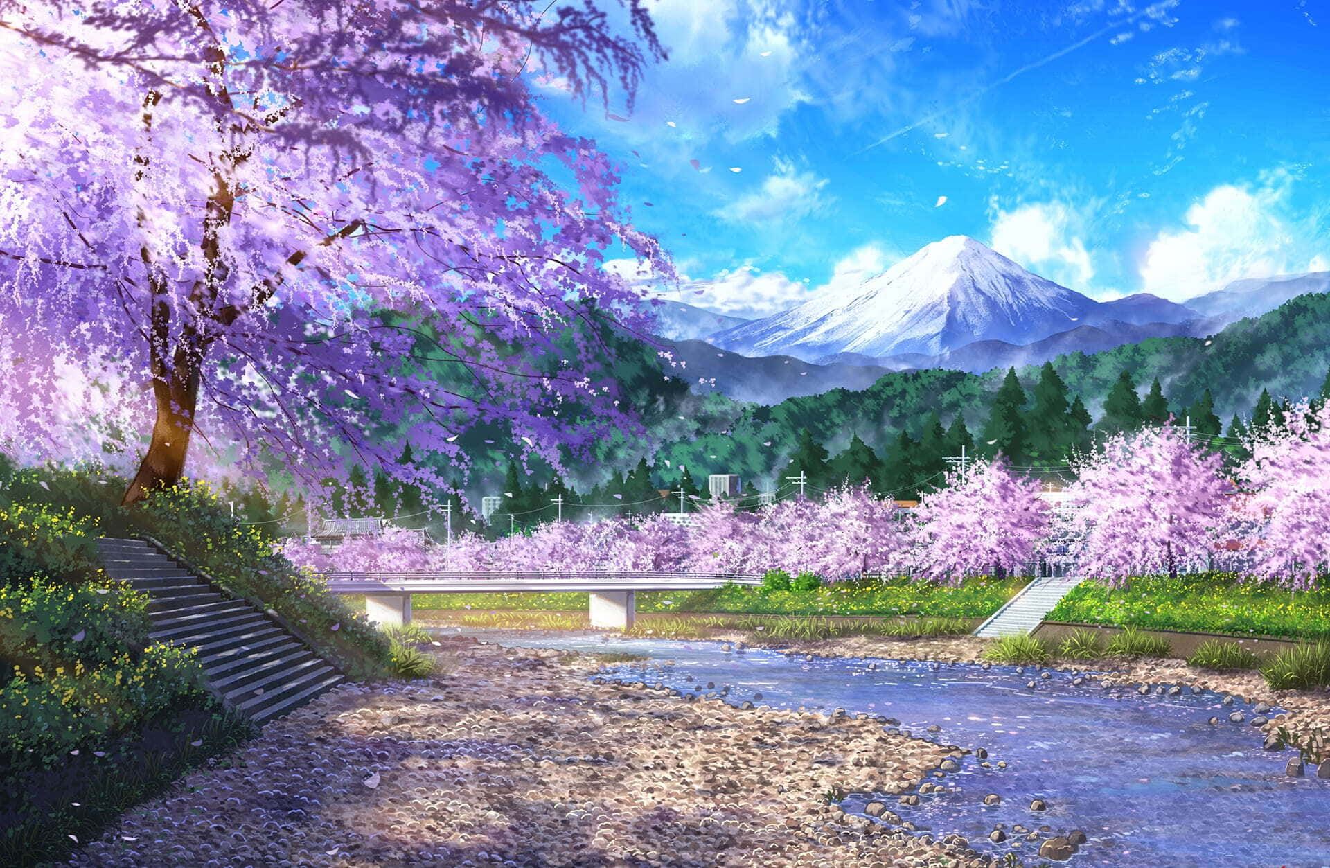 Fondode Pantalla De Anime Con Un Río De Cerezos En Flor.