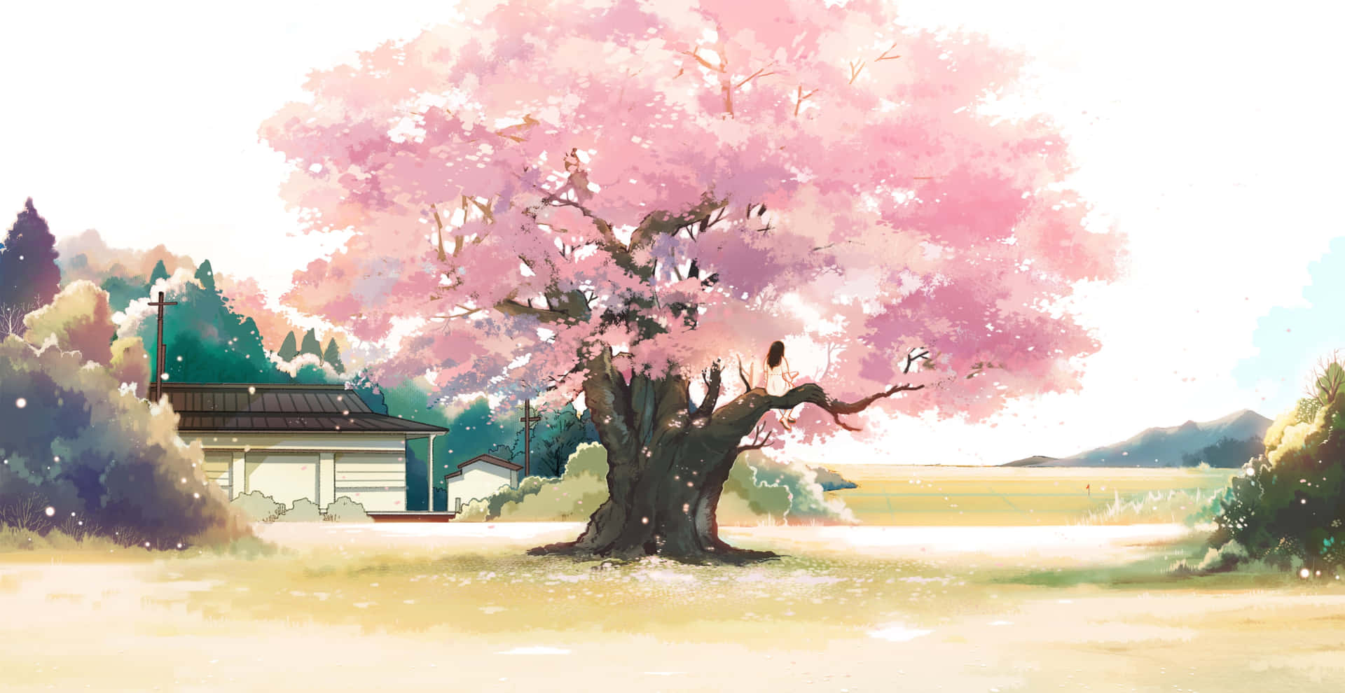 Anime Cherry Blossom Big Tree Background