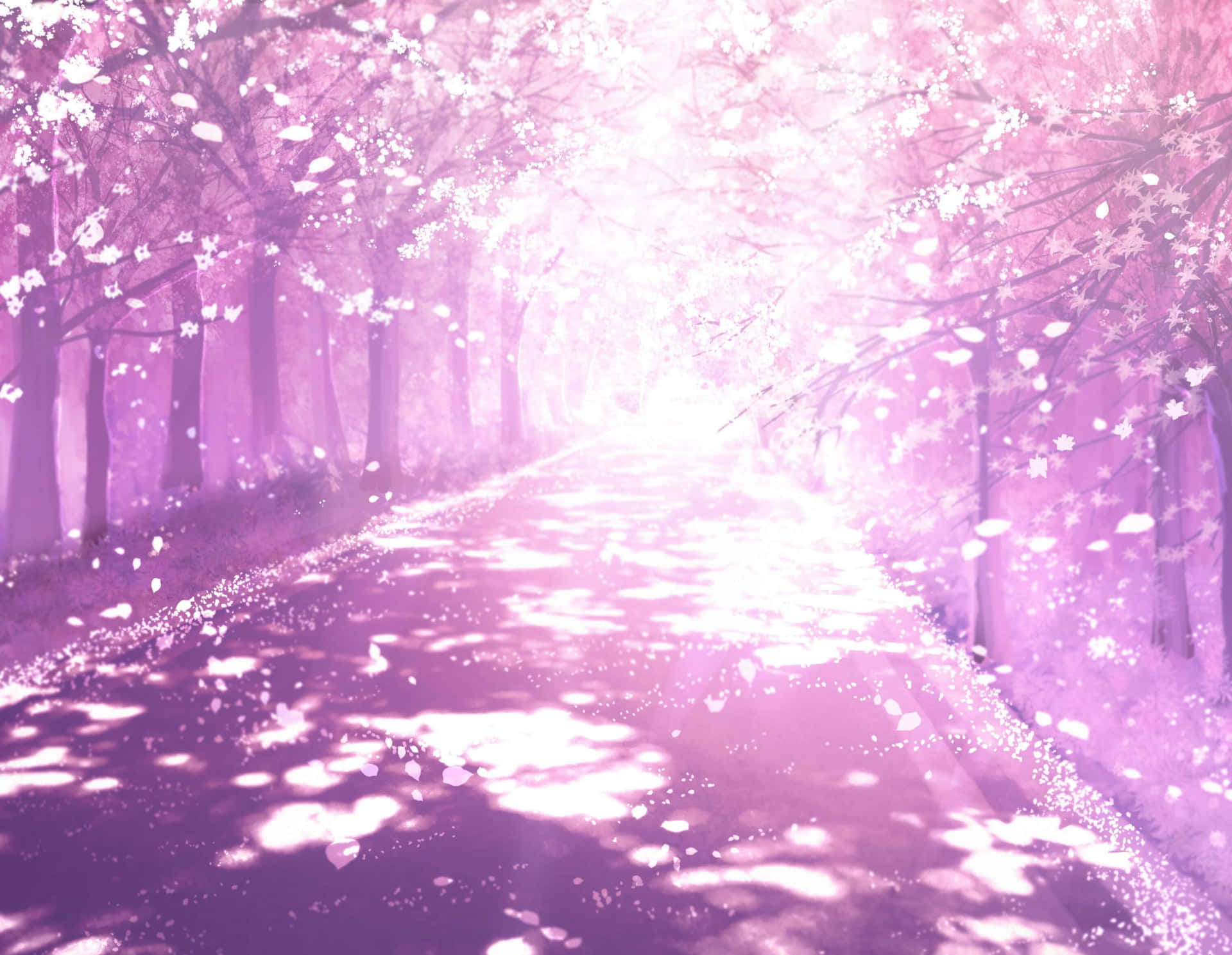 Download Anime Cherry Blossom Shadows Background 