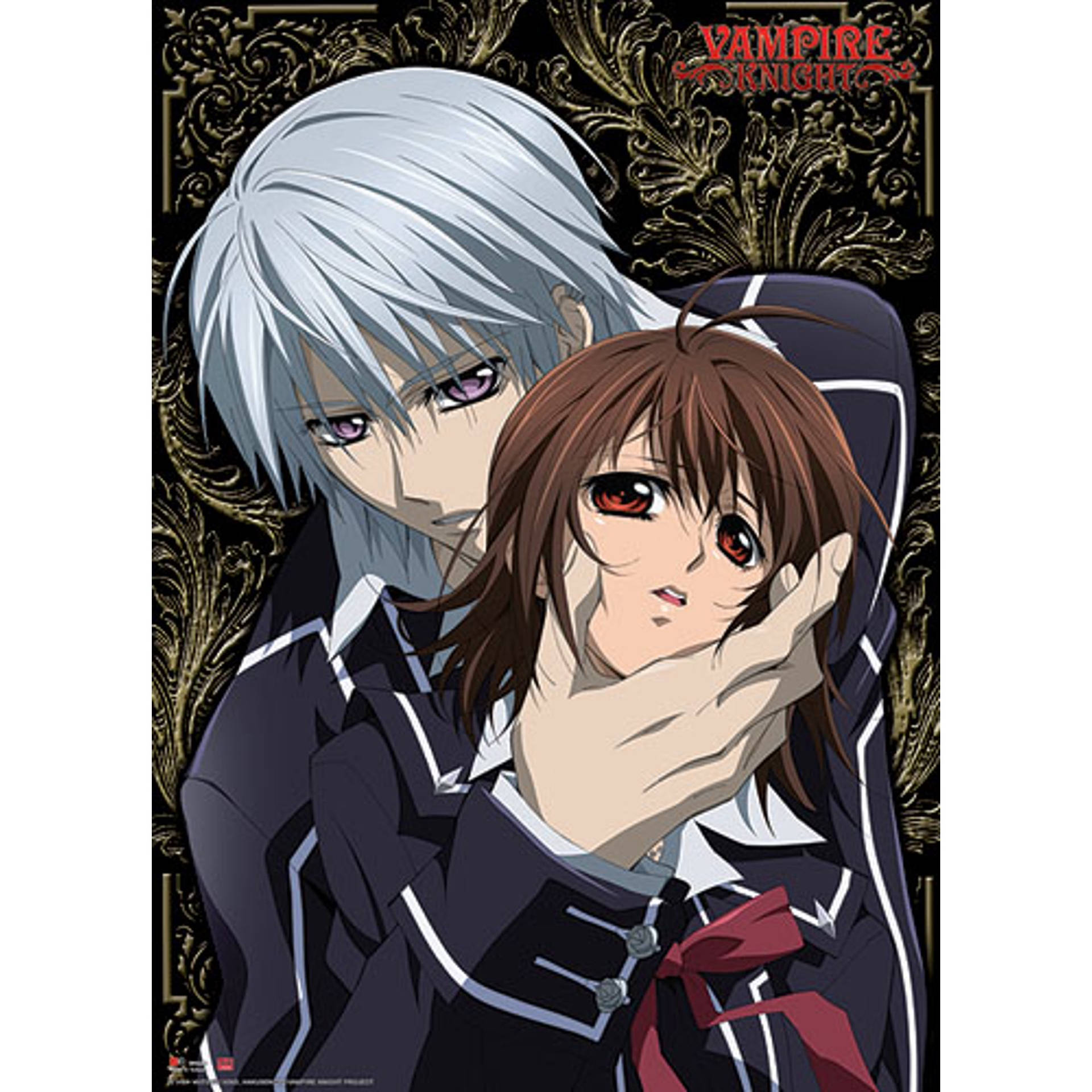 Anime Couple Vampire Knight