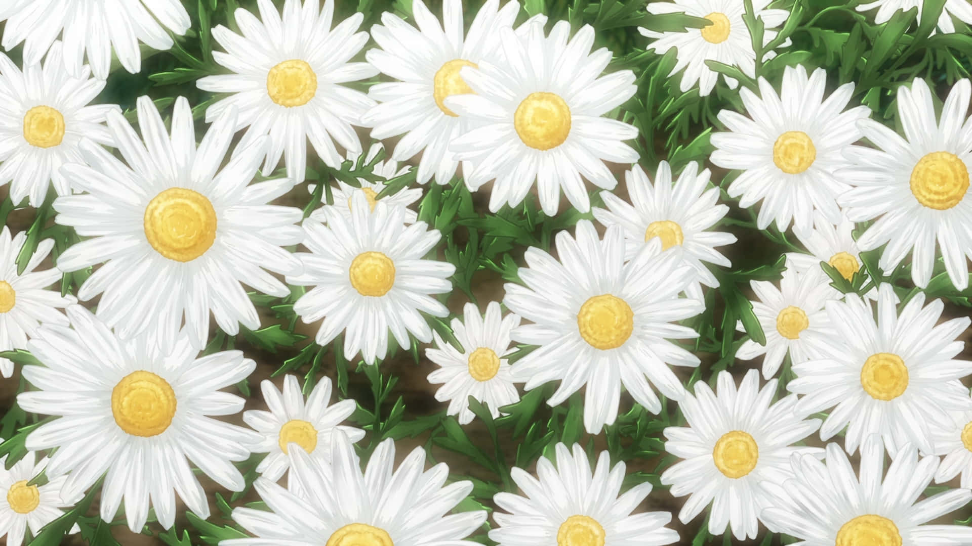 Blomstrandeskönhet Wallpaper