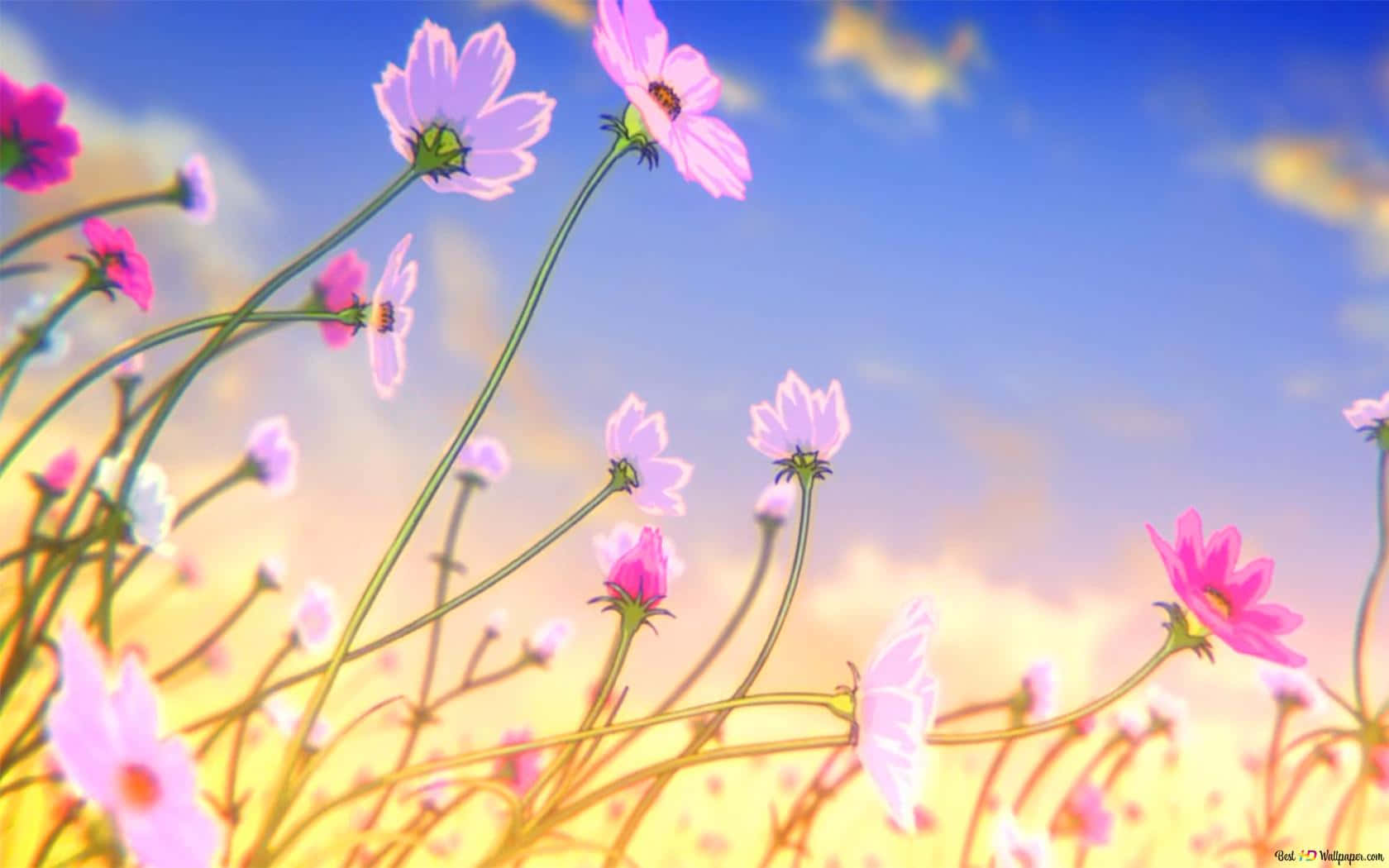 Top more than 135 flower field anime super hot