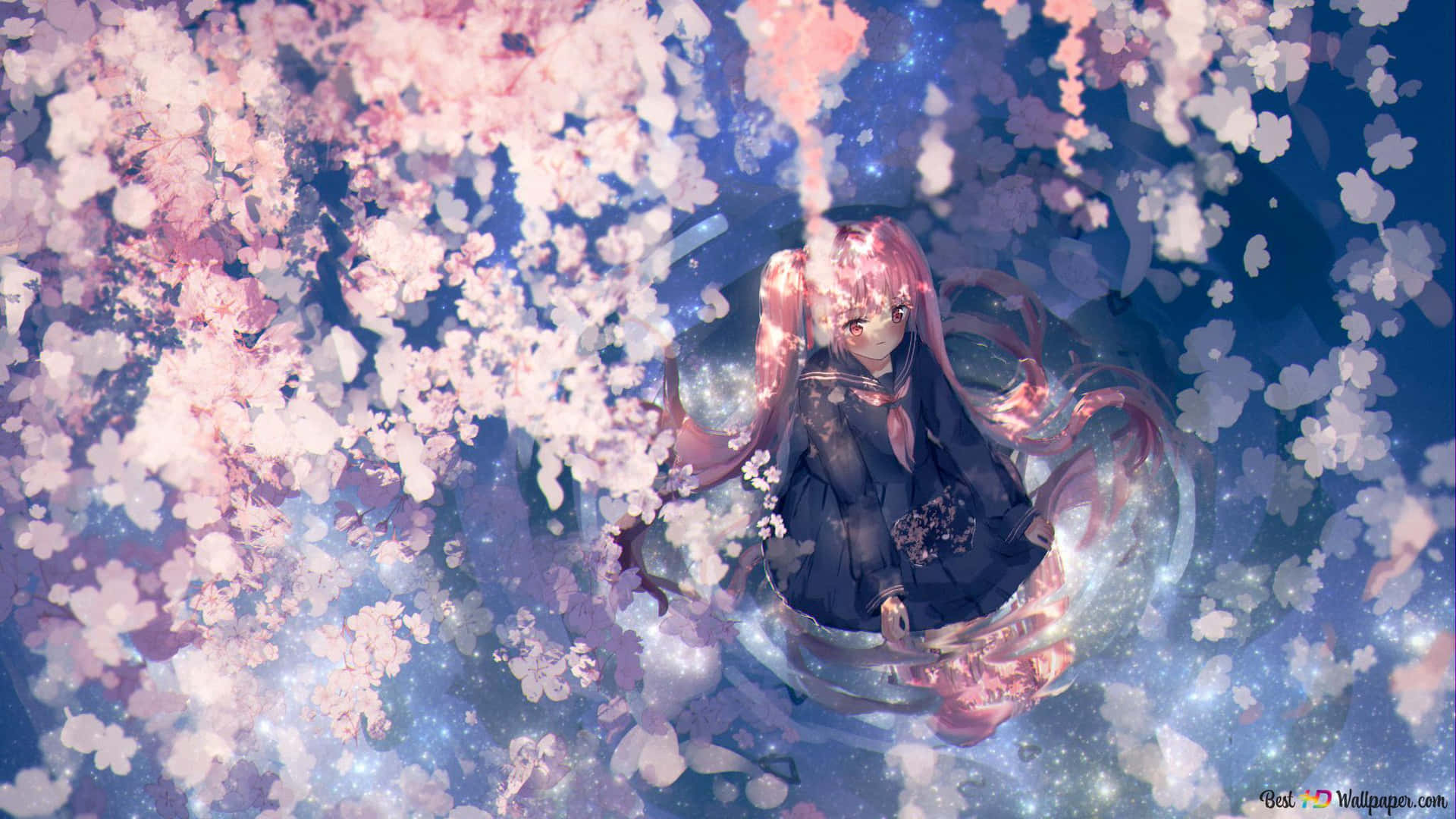 Eineeinzelne Anime-blume In Voller Blüte Wallpaper