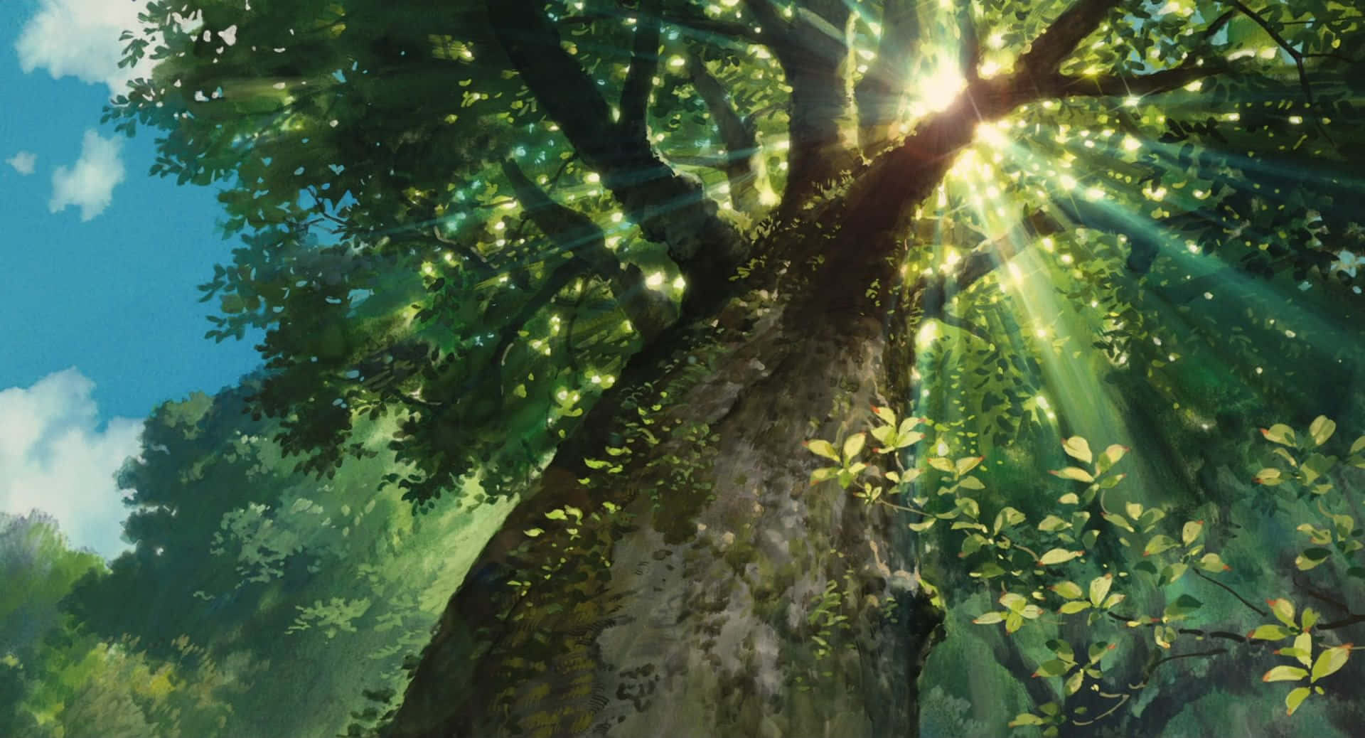 Papelde Parede De Anime Com Árvores Na Floresta. Papel de Parede