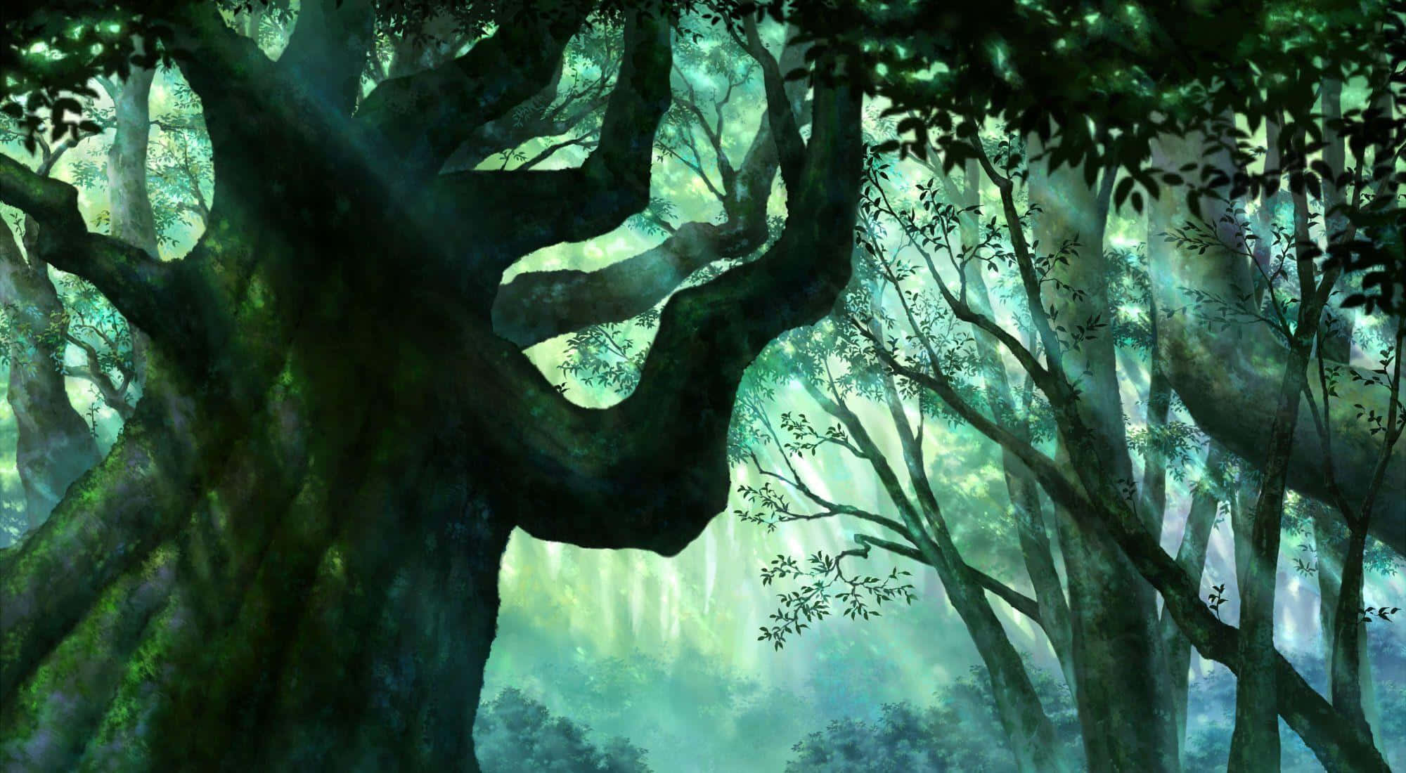 A Painting Of A Forest With Trees And Sunlight
