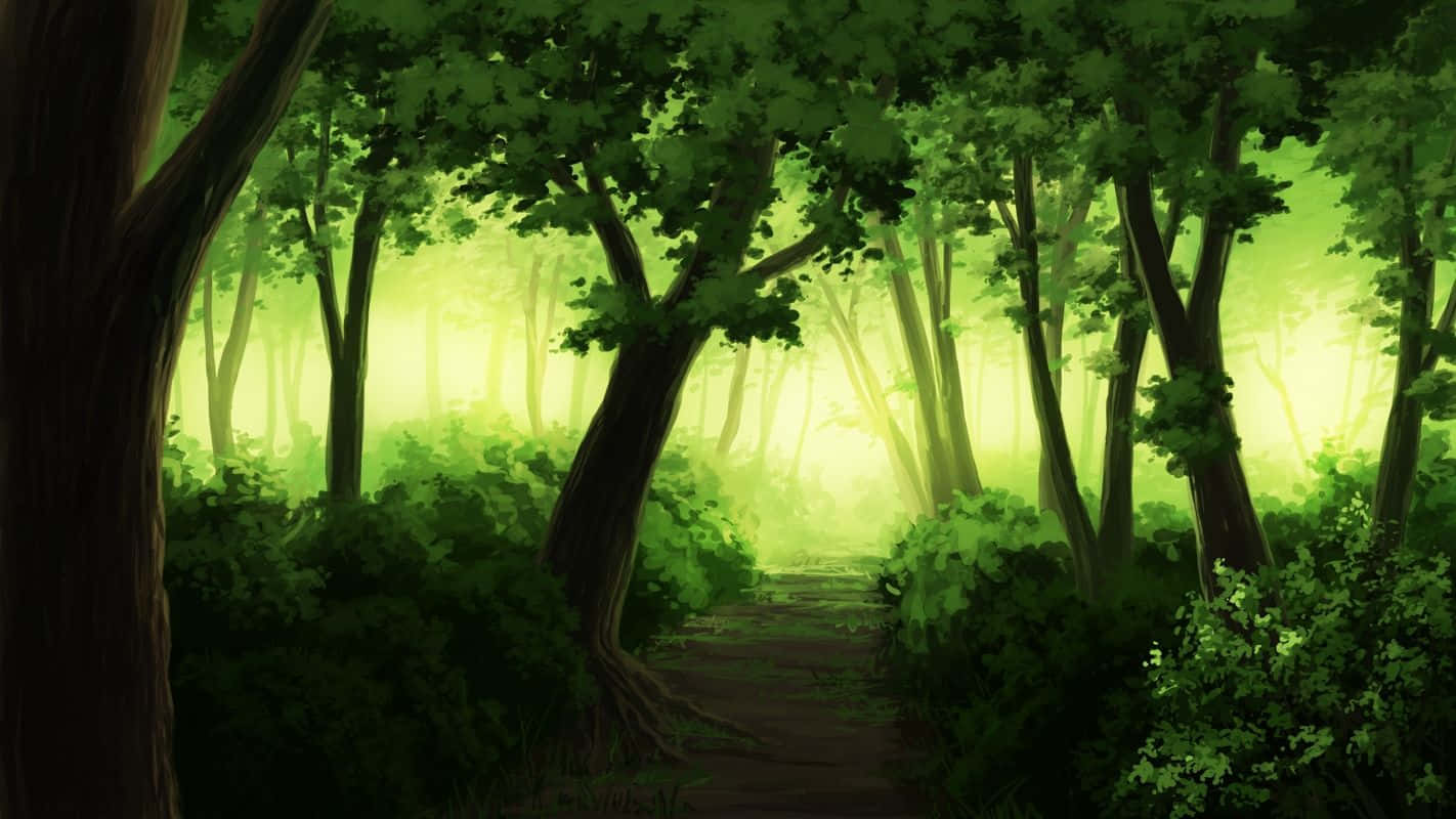 Anime Grøn Skov Nat Scene Tapet Wallpaper