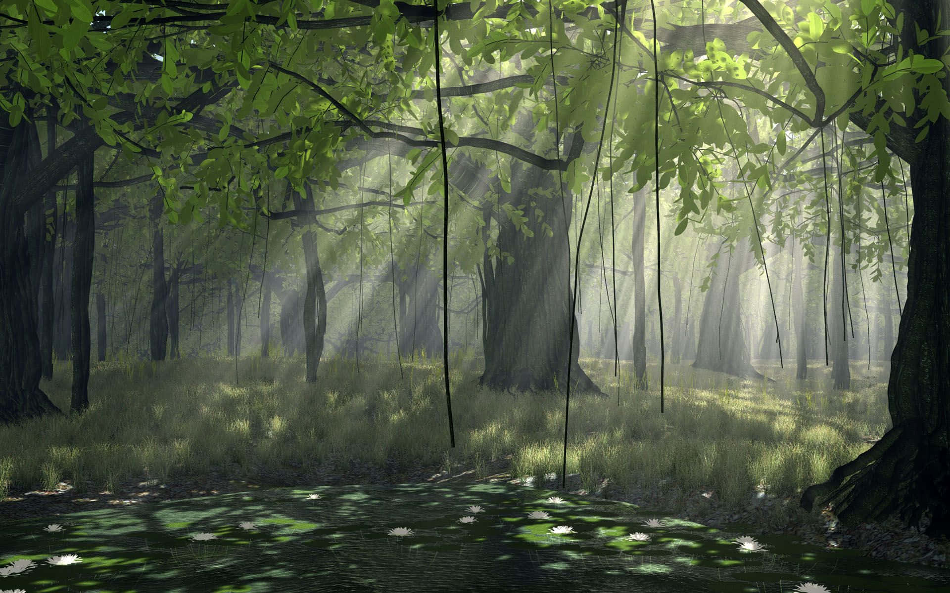 Naturen kalder dig til at udforske Anime Skoven. Wallpaper