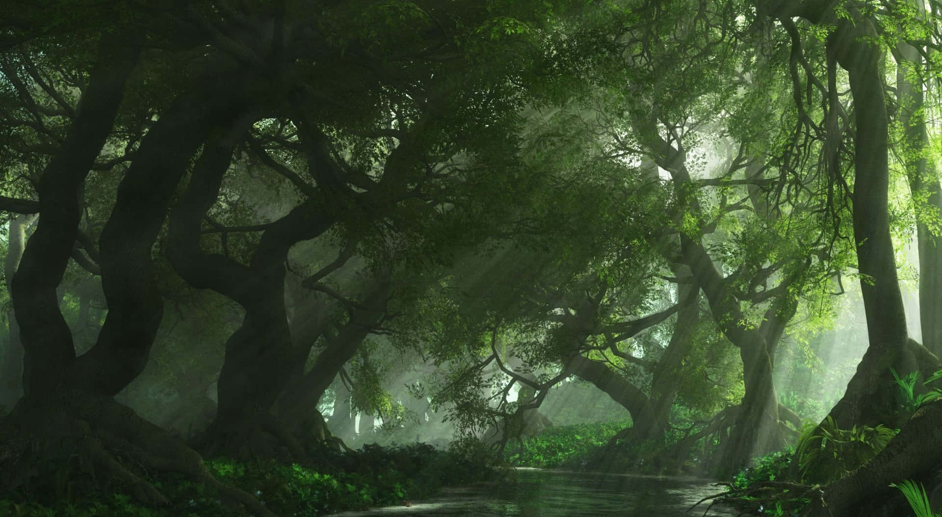 Utforskaden Förtrollande Anime-skogen! Wallpaper