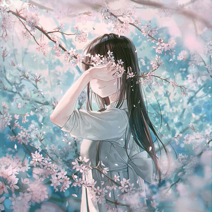 Anime Girl Cherry Blossoms Serenity Wallpaper