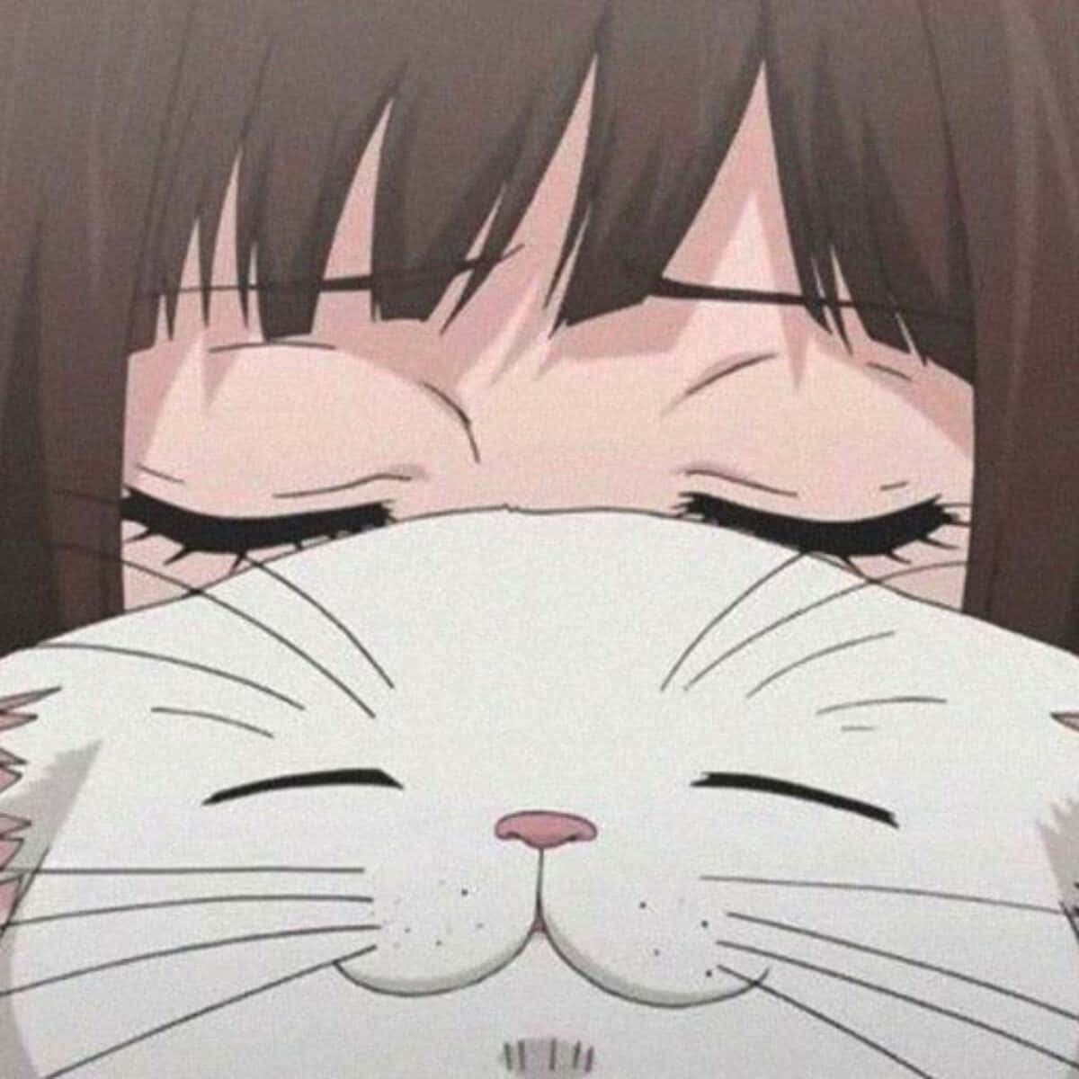 Animemädchen Profilbild Katze Wallpaper