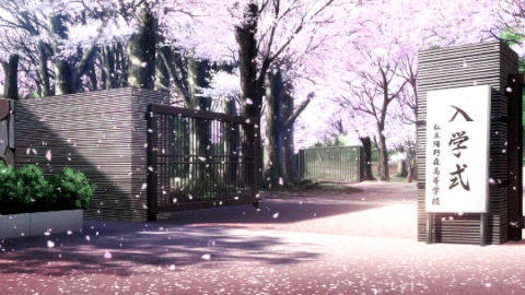 Anime Hd Scenery Of Cherry Blossoms Wallpaper