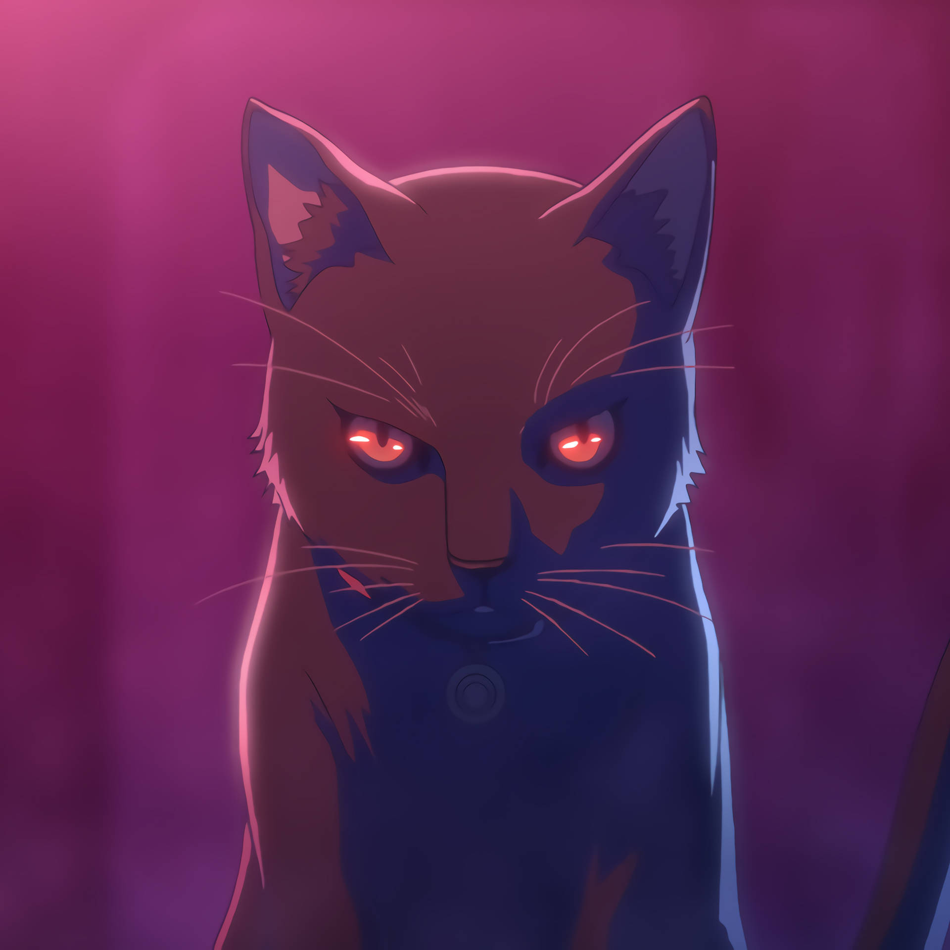 Anime Ipad Black Cat Akudama Drive Background
