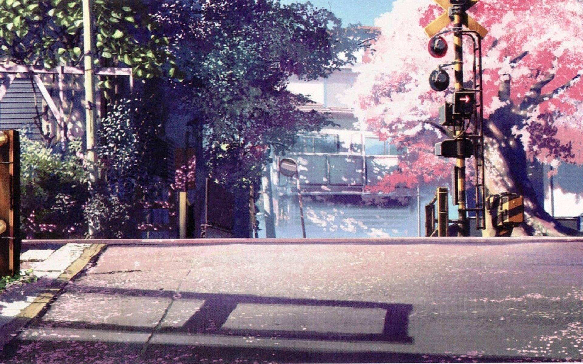 Anime Landscape Cherry Blossoms Wallpaper