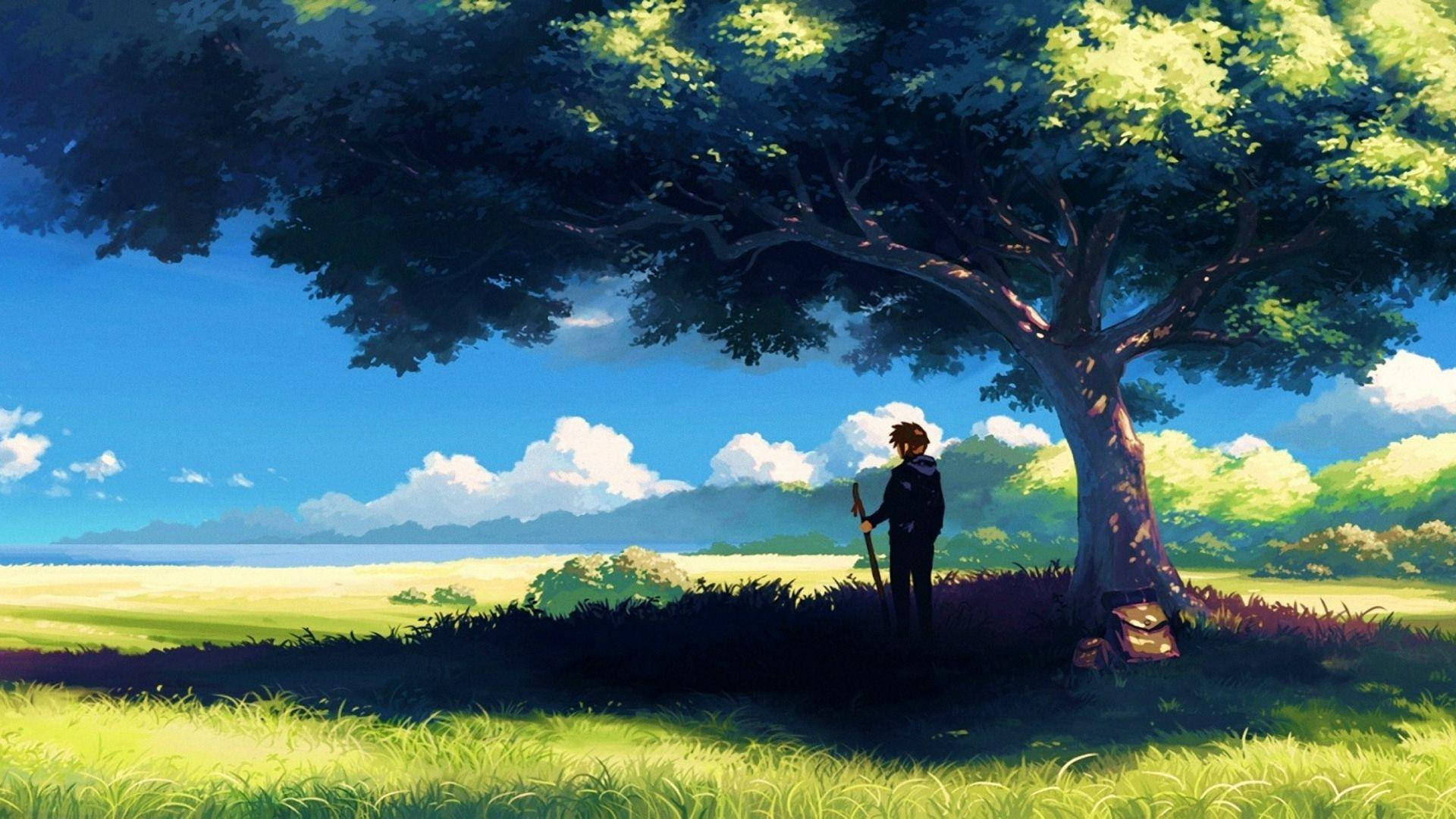 Anime Landscape Man Under A Tree Wallpaper