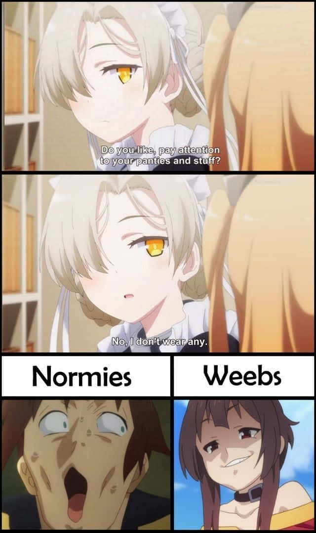 Normieswebb Anime