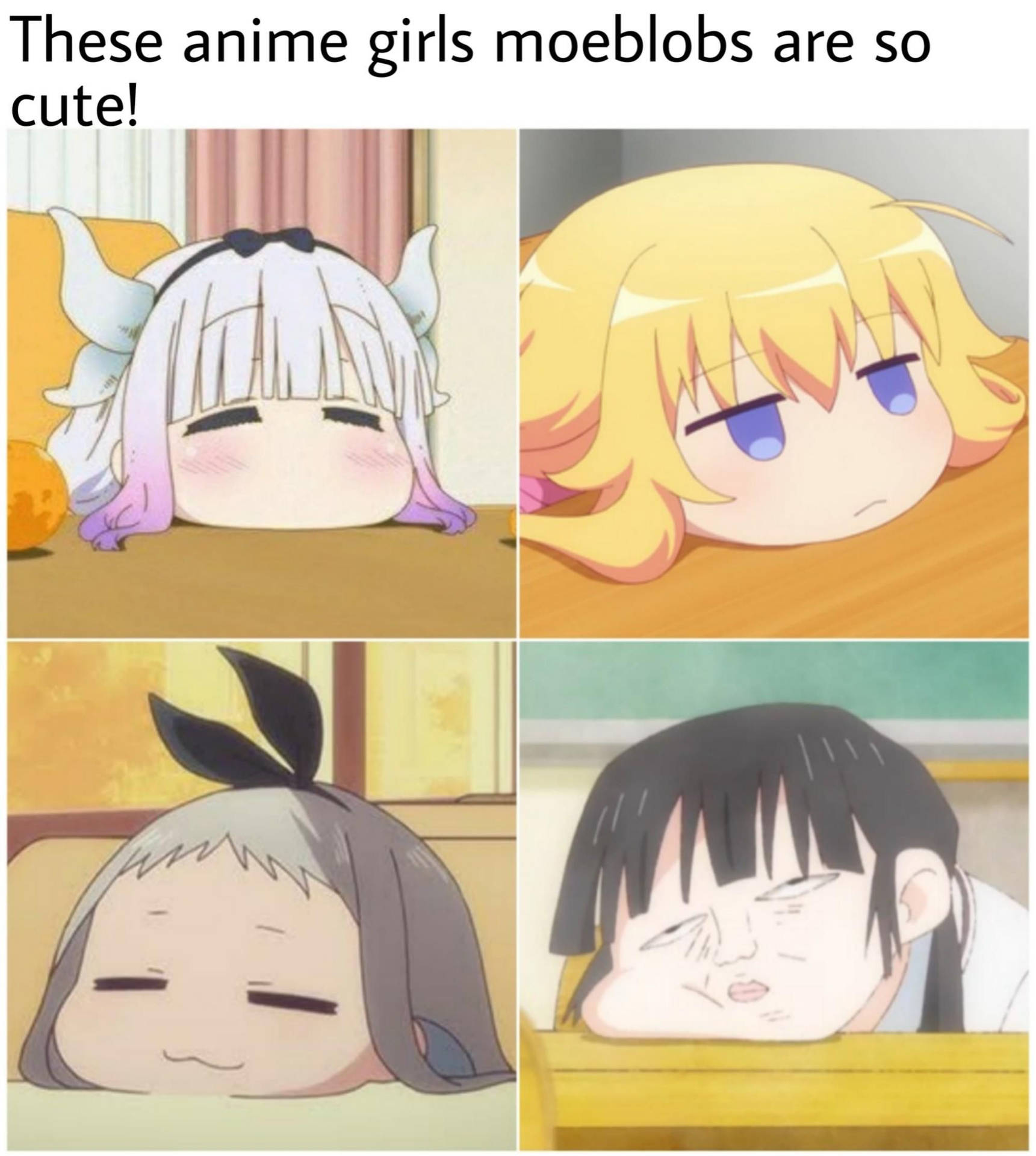 Anime Meme Cute Girls Background