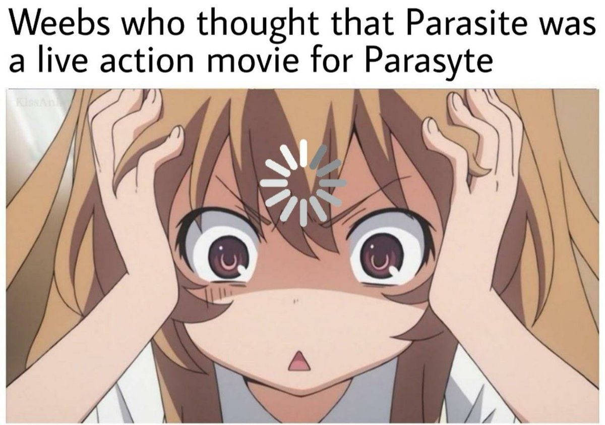 Anime Meme Parasite Wallpaper