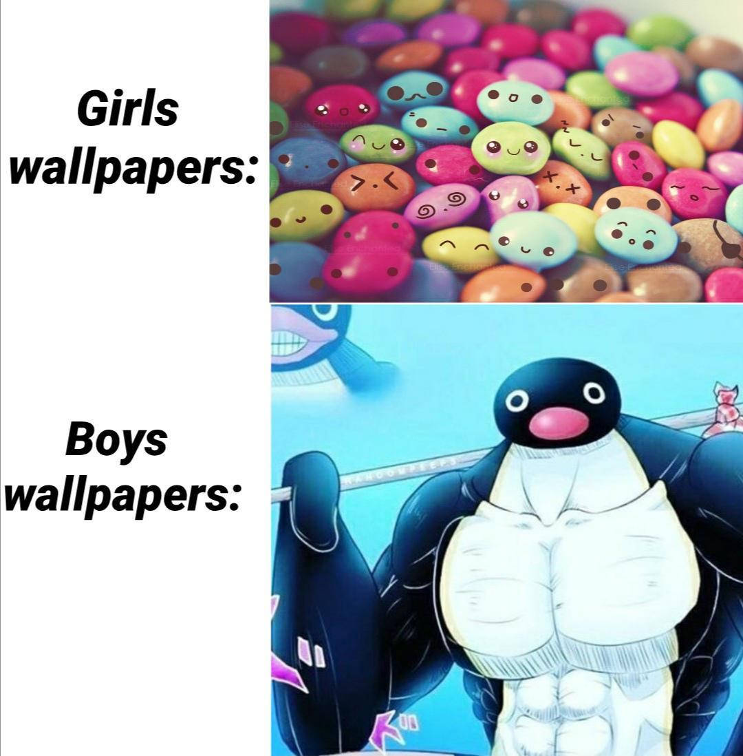 Anime Meme Pfp Cute Girls Funny Boys Wallpaper