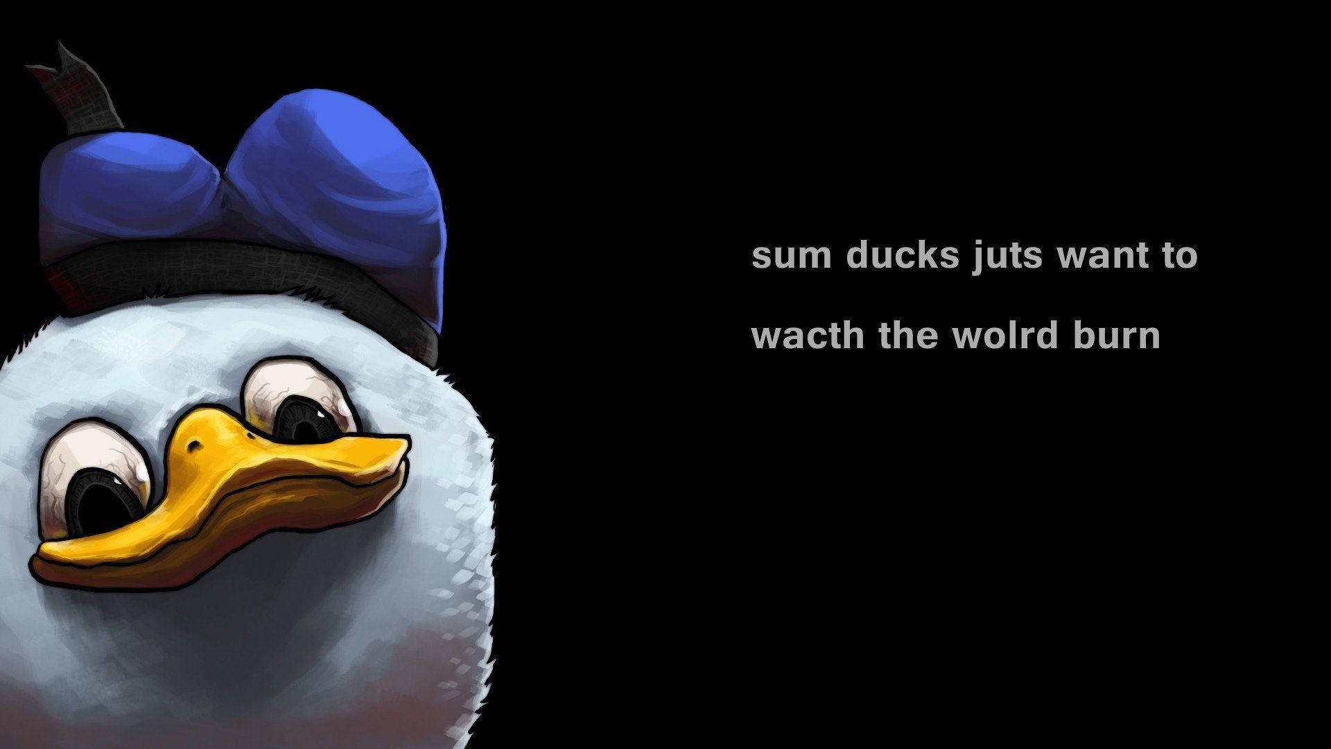 Anime Meme Pfp Cynical Duck Background
