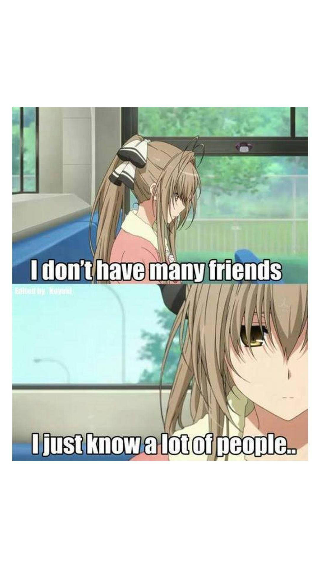 Anime Meme PFP Don't Have Friends Wallpaper