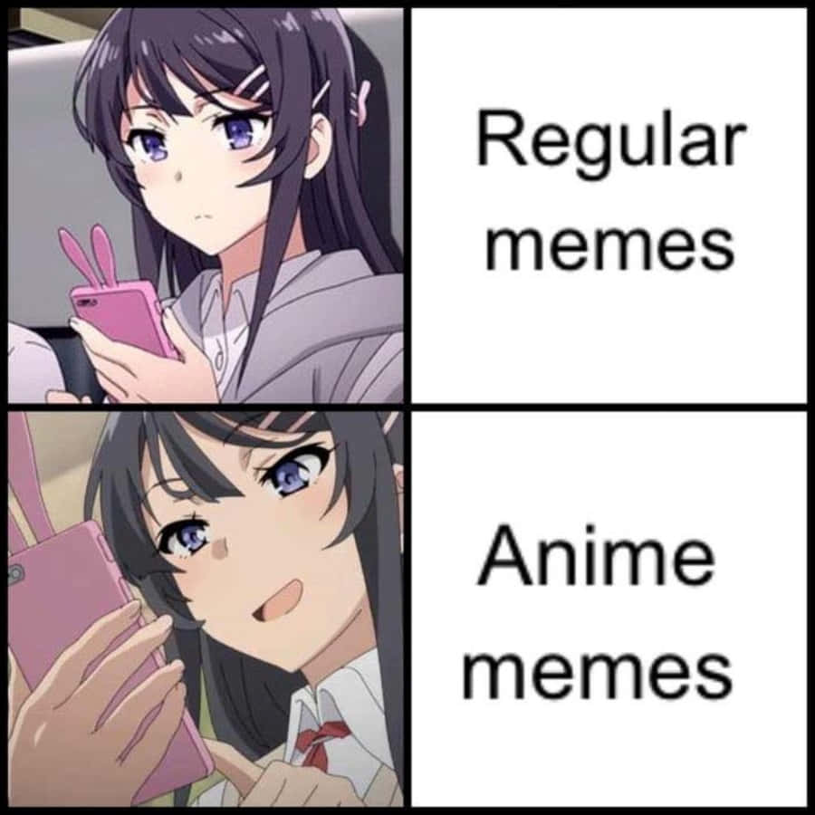 Anime Meme Pictures