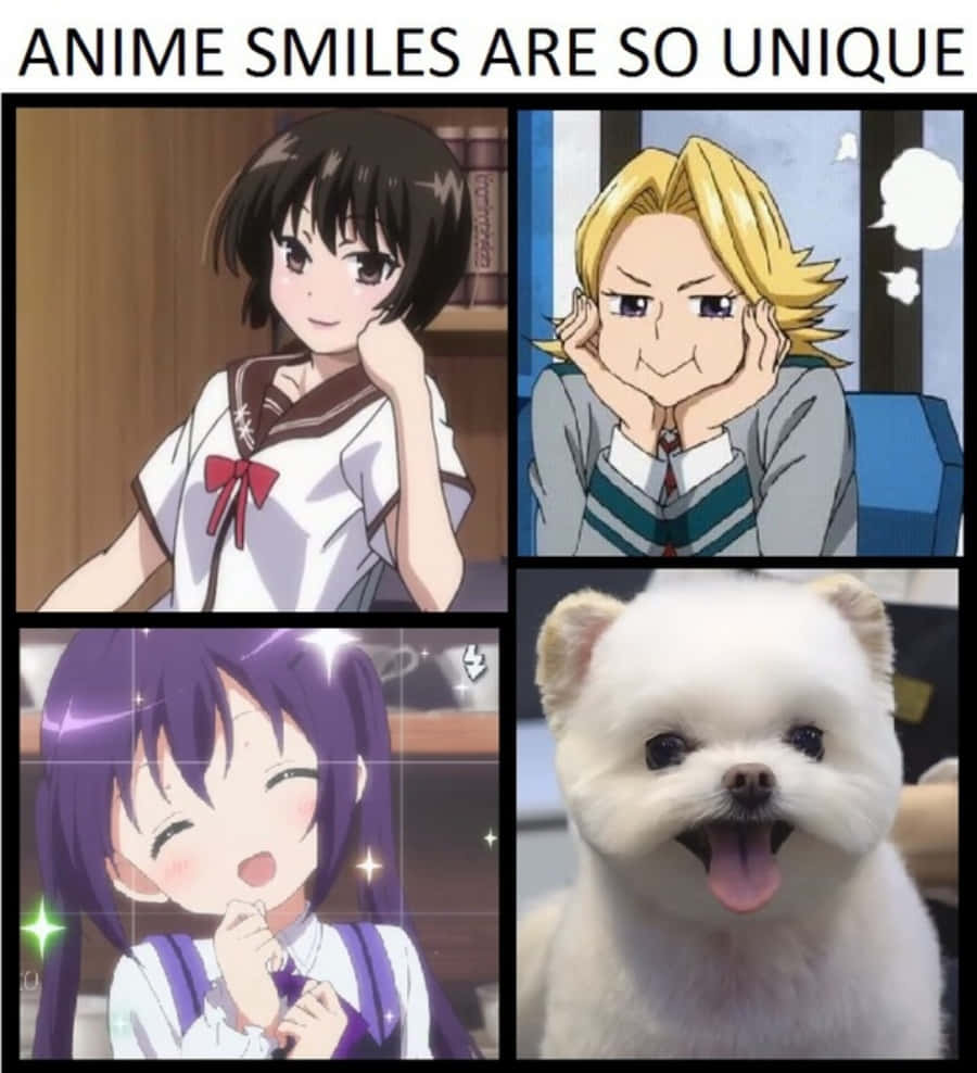 Anime Meme Pictures