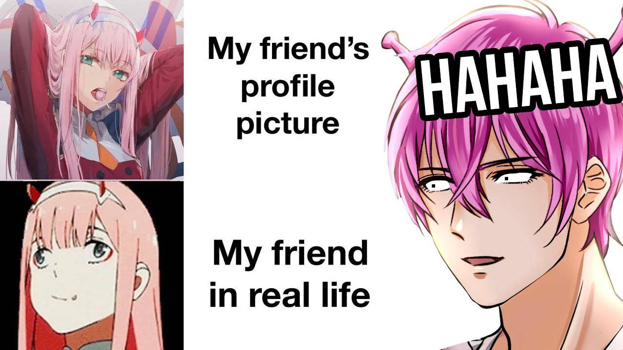 Anime Meme Profile Picture Background