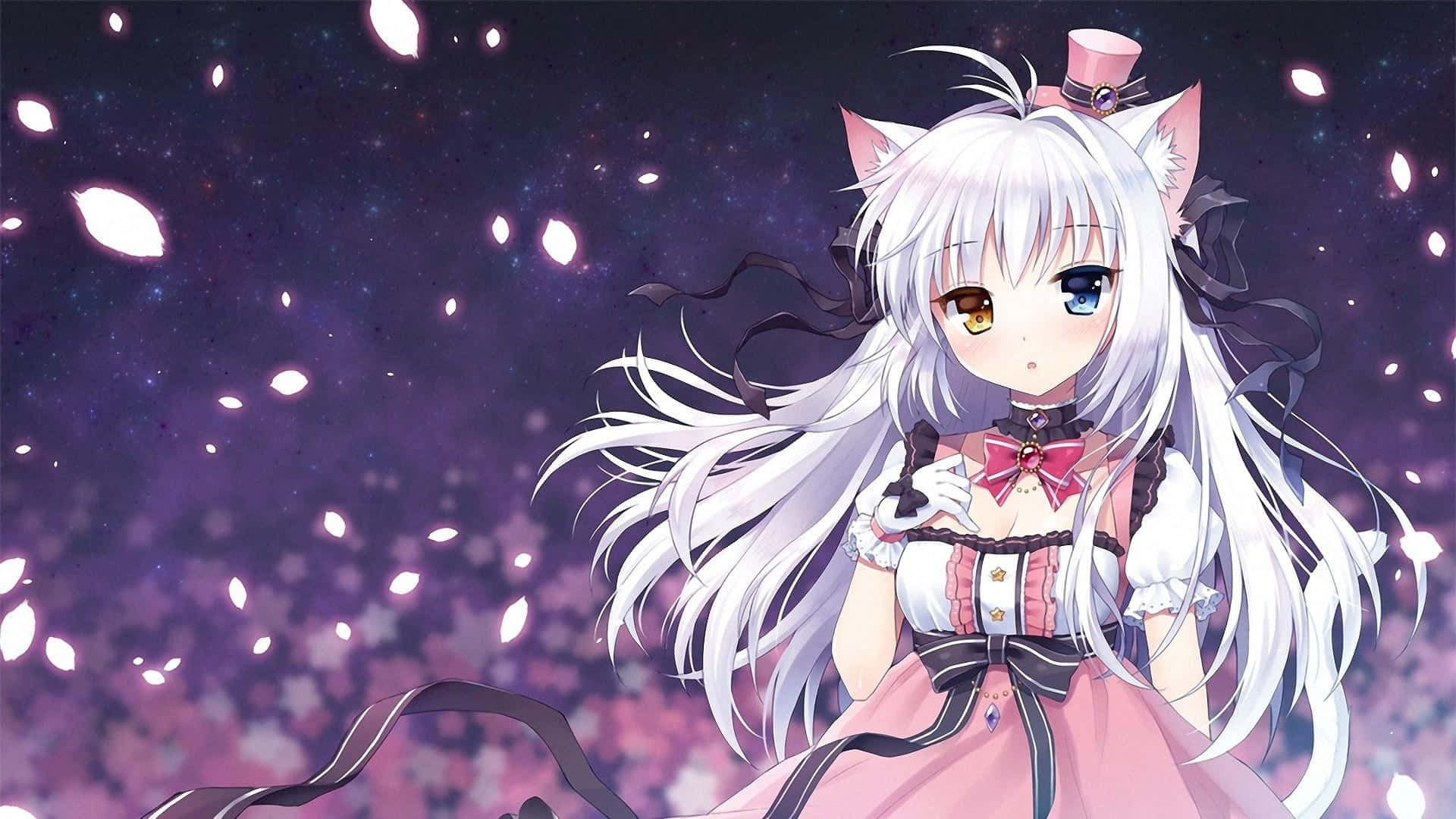 Anime Neko Girl Starry Background Wallpaper