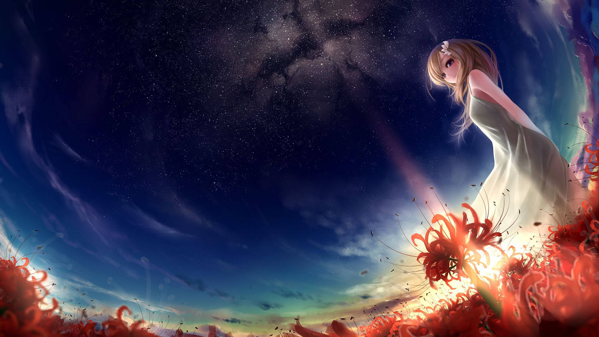 Anime Night Sky Girl Spider Lily Wallpaper