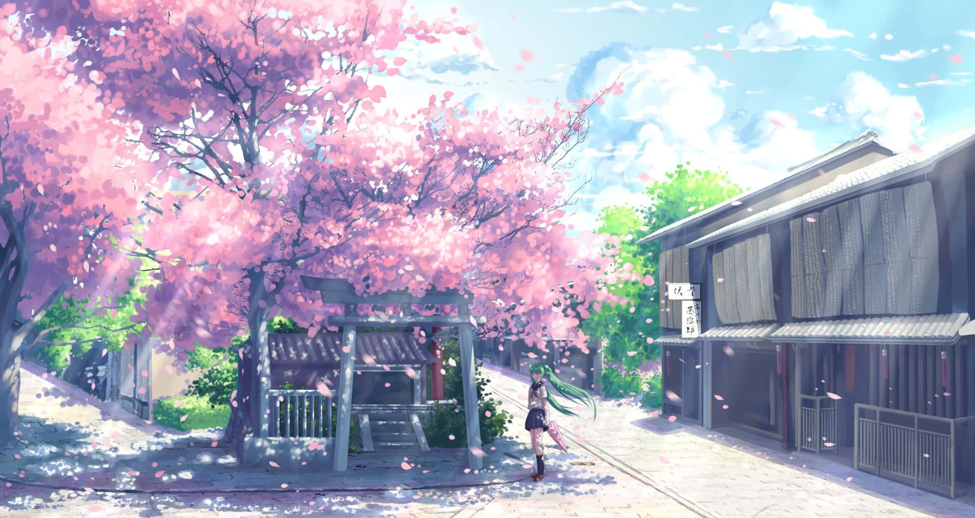 A Street With Pink Blossoms And A House