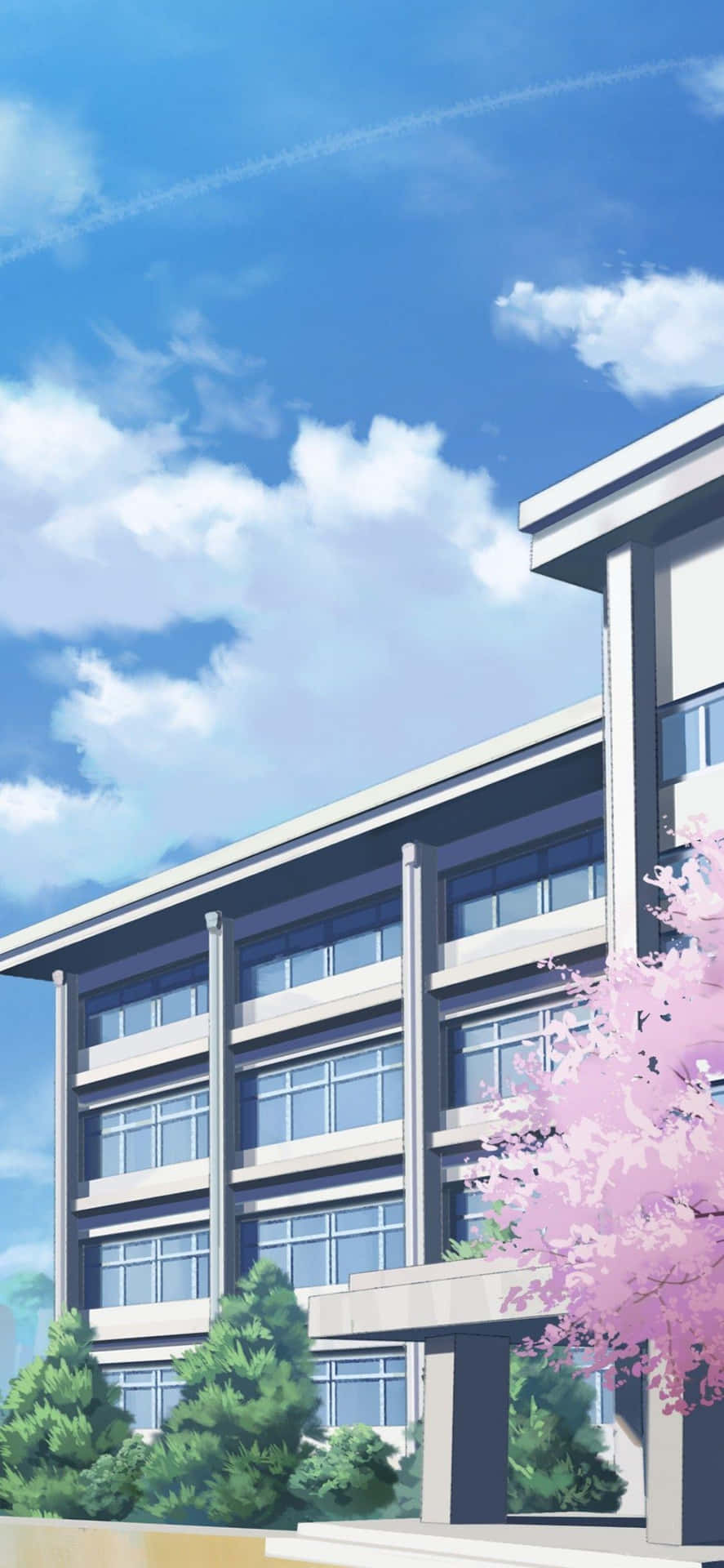 Anime Skolebygning Sakura Udsigt Wallpaper