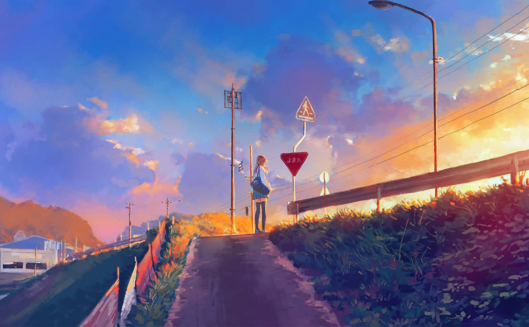Anime Sunset Bliss