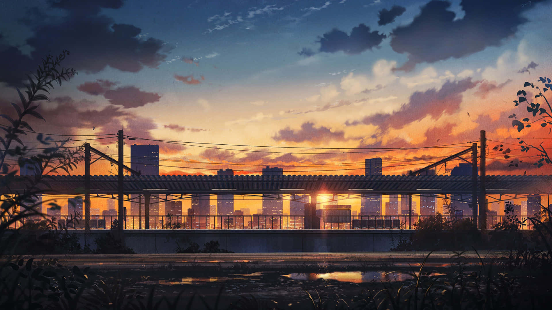 Captivating Anime Sunset Scene