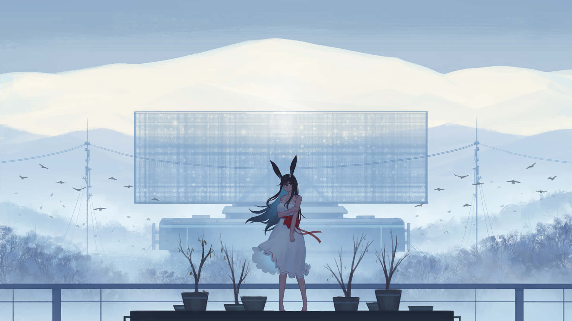 Hoppain I Ett Spännande Nytt Äventyr Med Anime White Som Bakgrundsbild På Din Dator Eller Mobil. Wallpaper