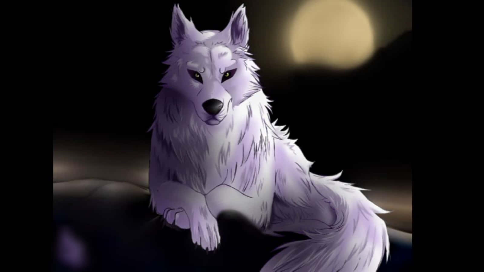 A lone wolf peers into the night sky, guided by the stars.