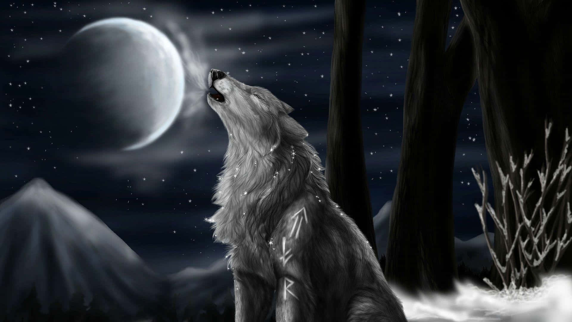 A howling wolf pauses to reflect under a beautiful night sky