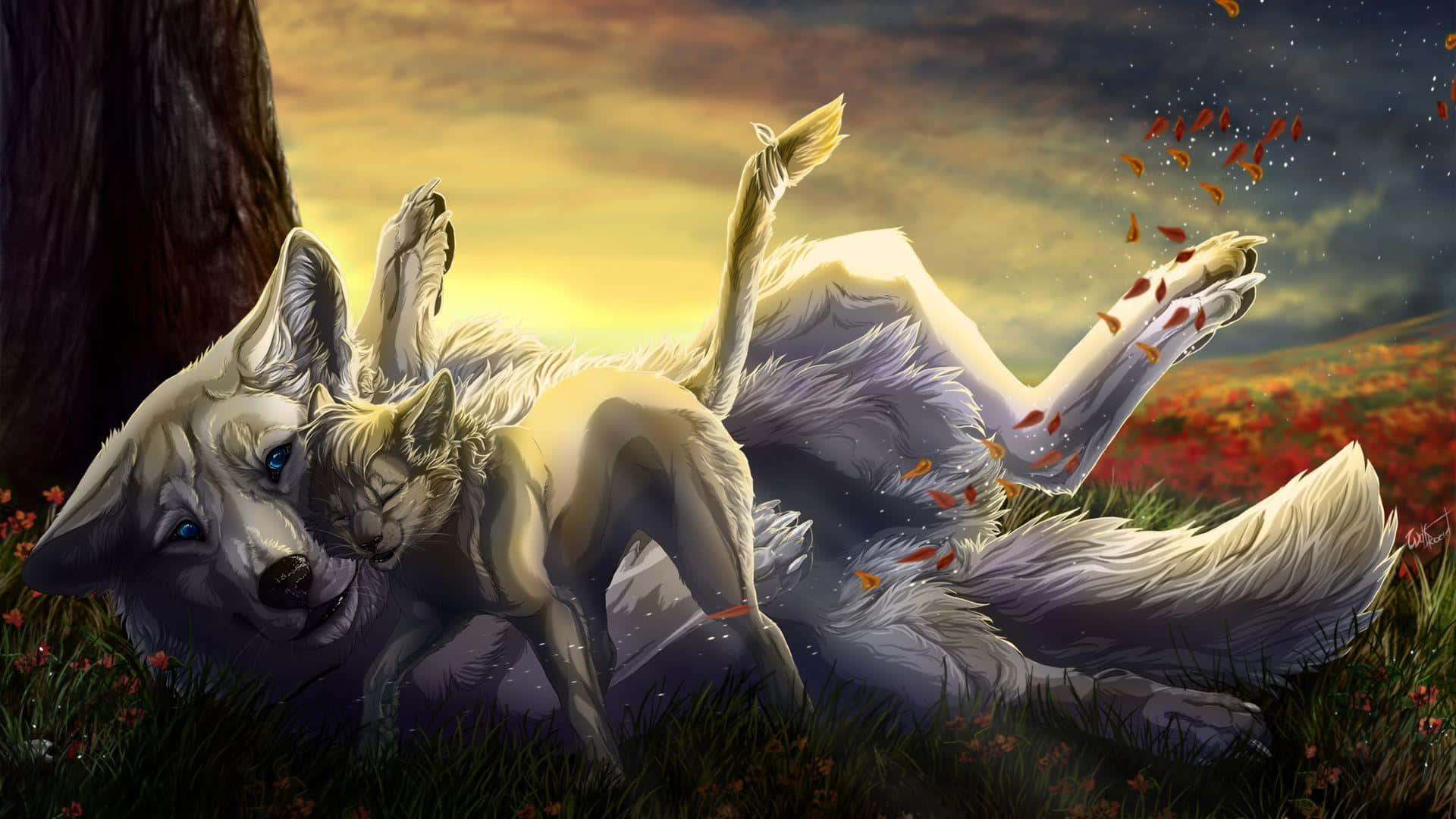 Wolf And Cat Laying In The Grass Wallpaper