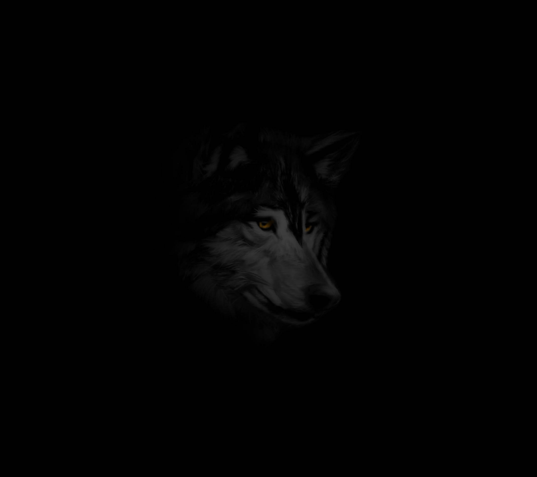 Anime Wolf Black And White In Dark Wallpaper