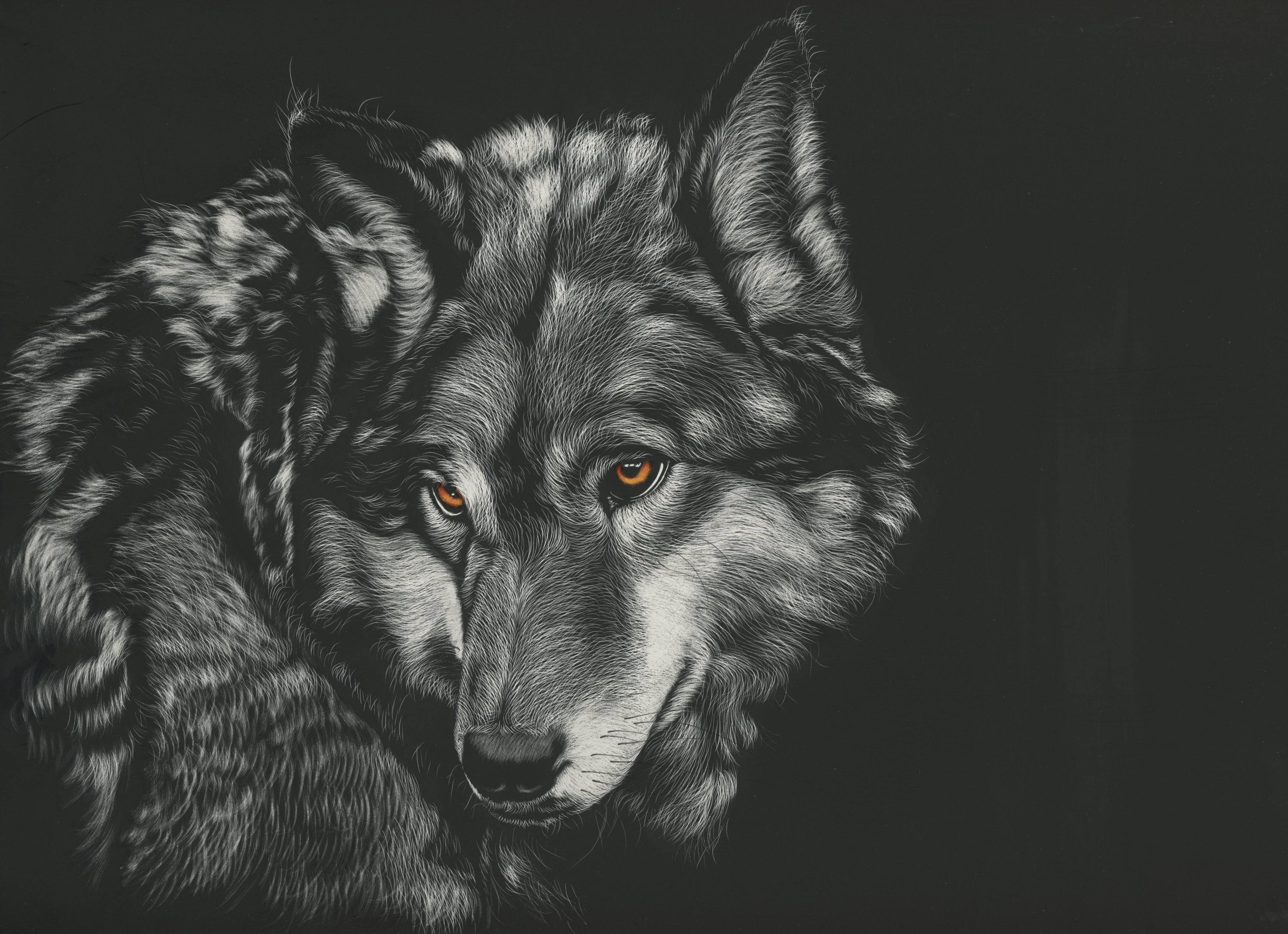 Anime Wolf Gray Aesthetic Fur Background